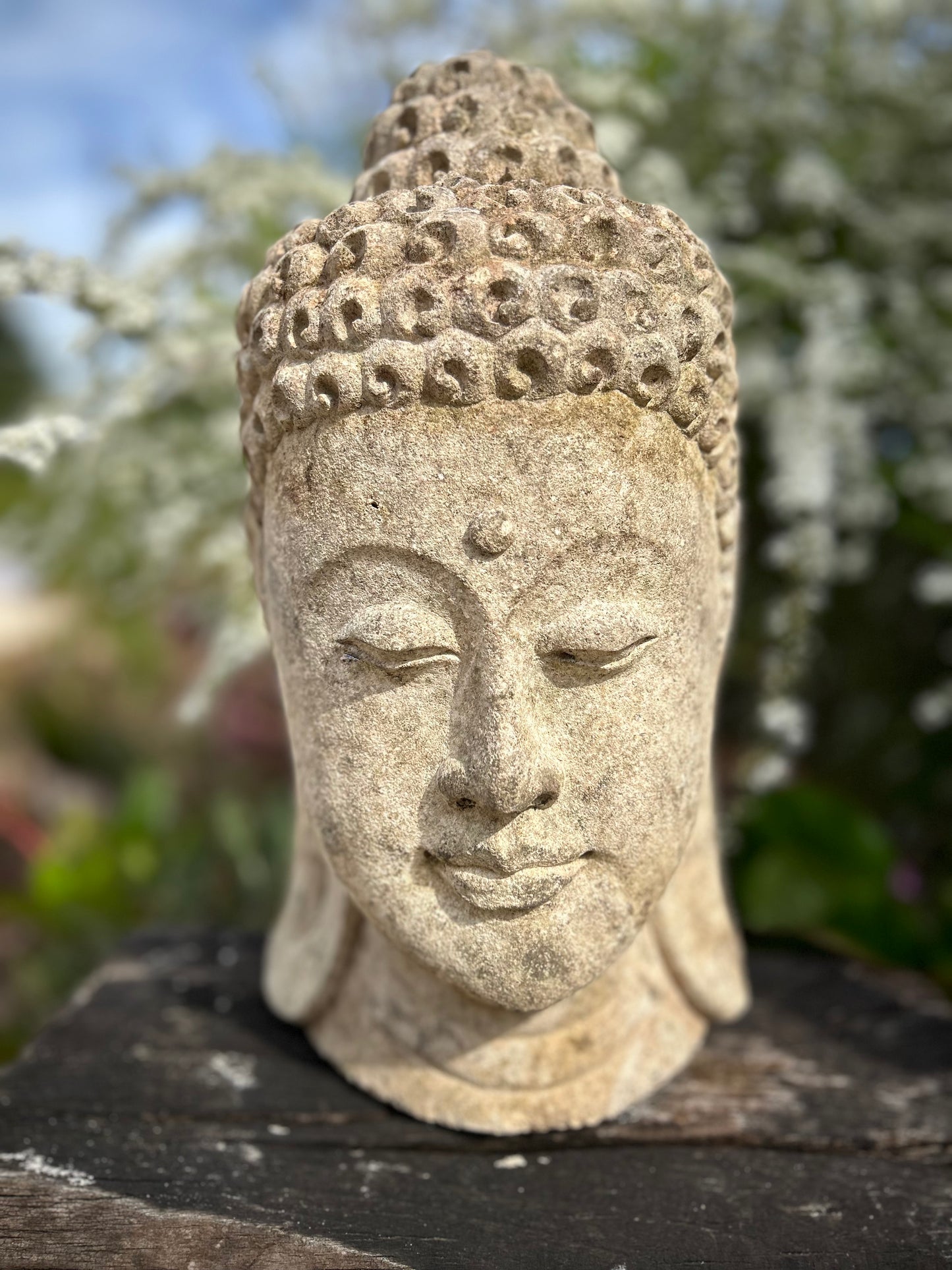 Testa di Buddha in pietra meditativo Altezza 37cm