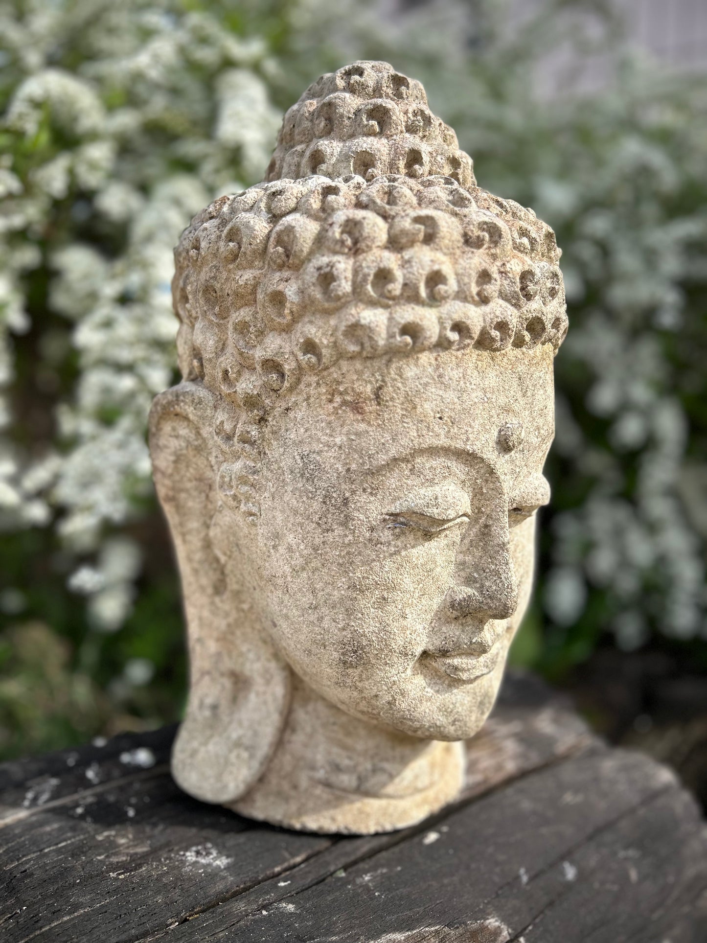 Testa di Buddha in pietra meditativo Altezza 37cm