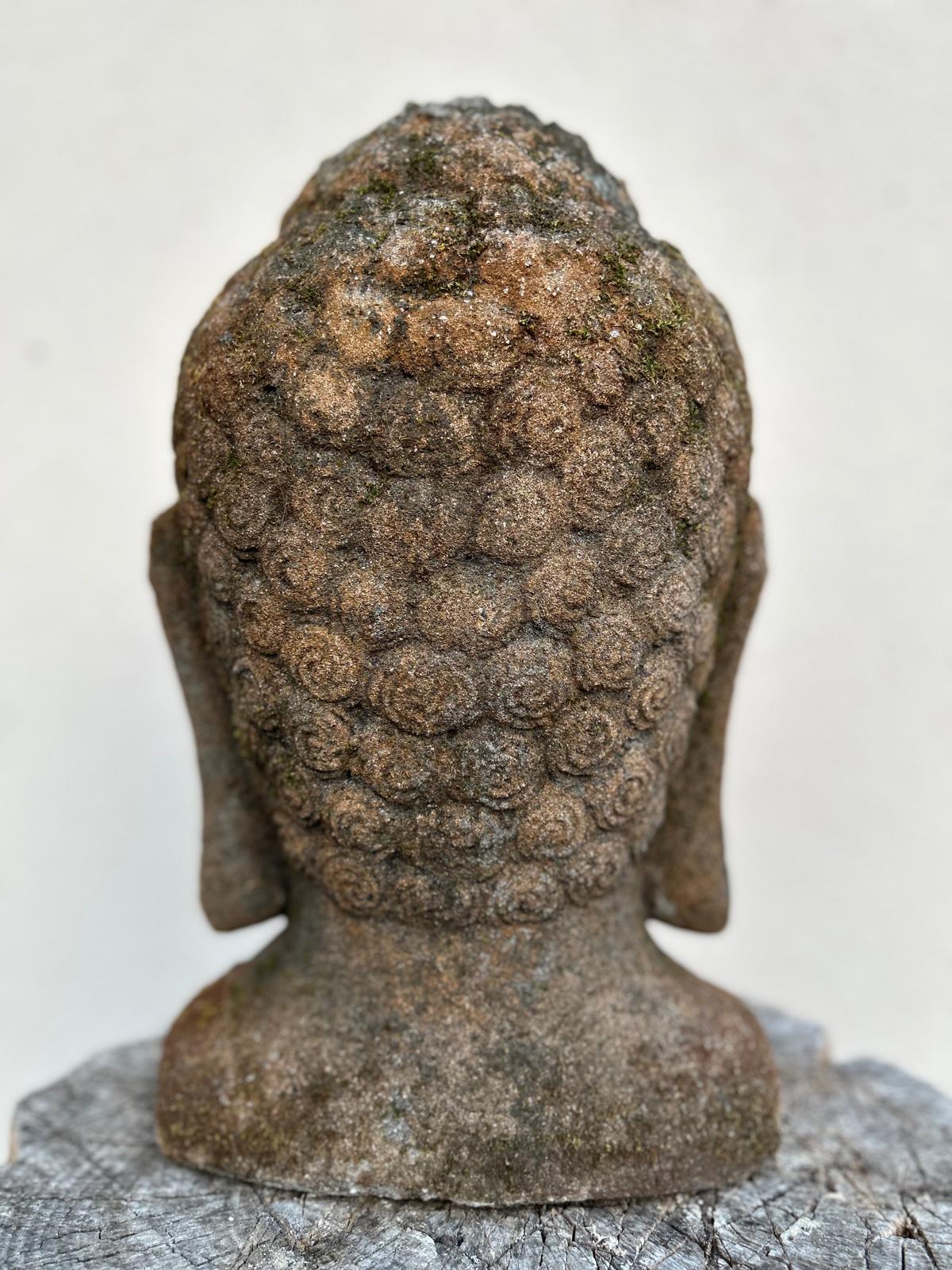 BUDDHA in lava stone H45cm B32