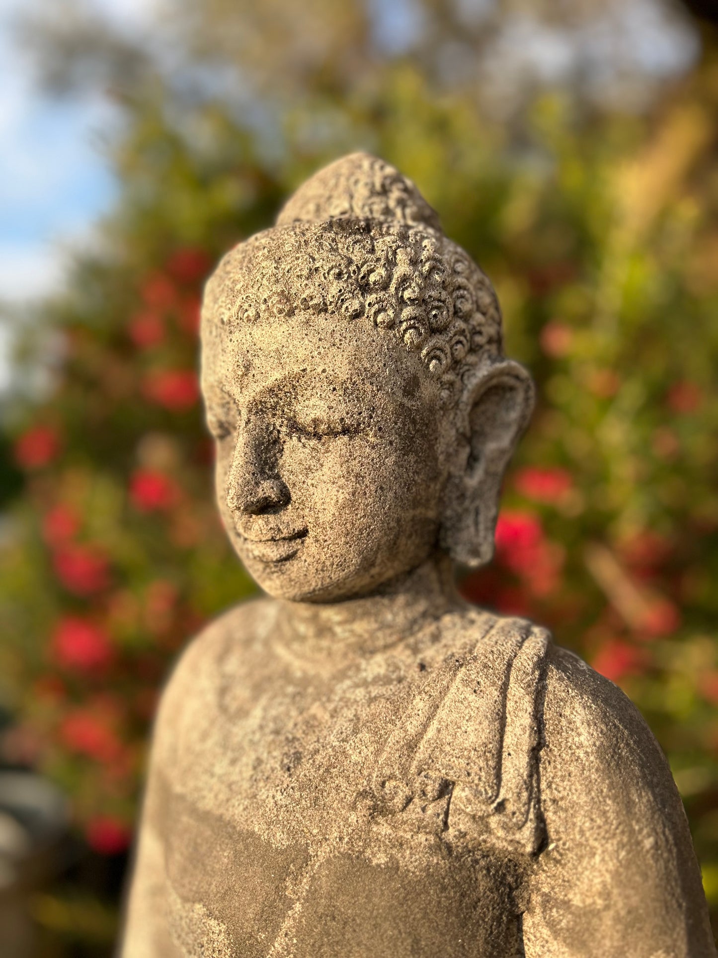 statua del buddha volto