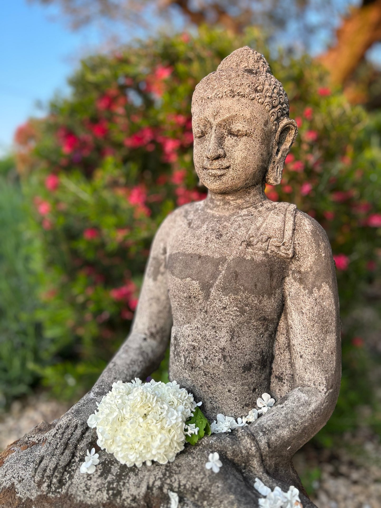 particolare statua buddha A01