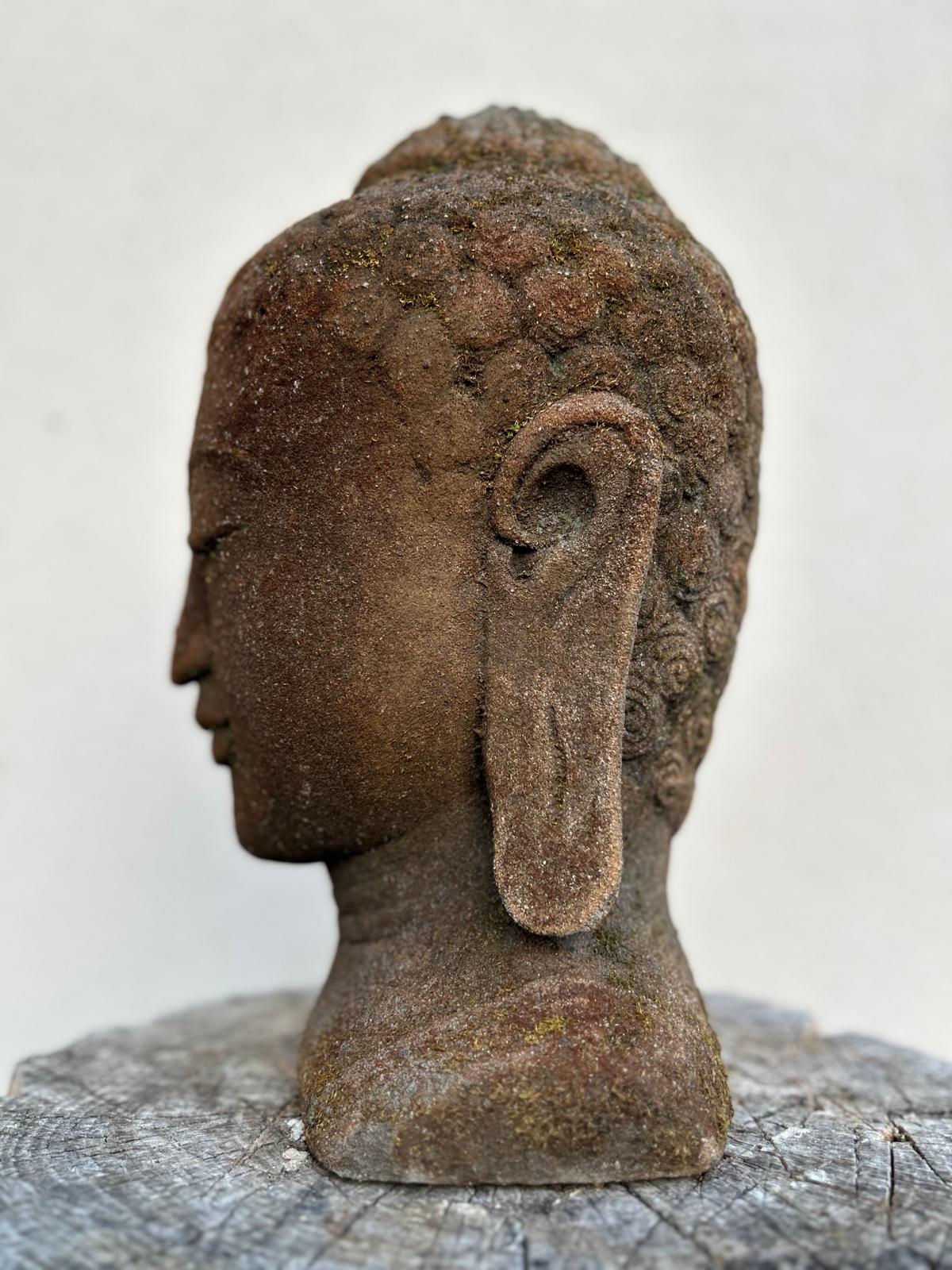 Statua Testa del Buddha in Pietra Lavica H40cm D030
