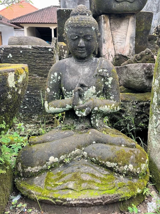 Statua Buddha Antico in Pietra nera h 80 cm – Scultura Balinese Originale Rif. D029