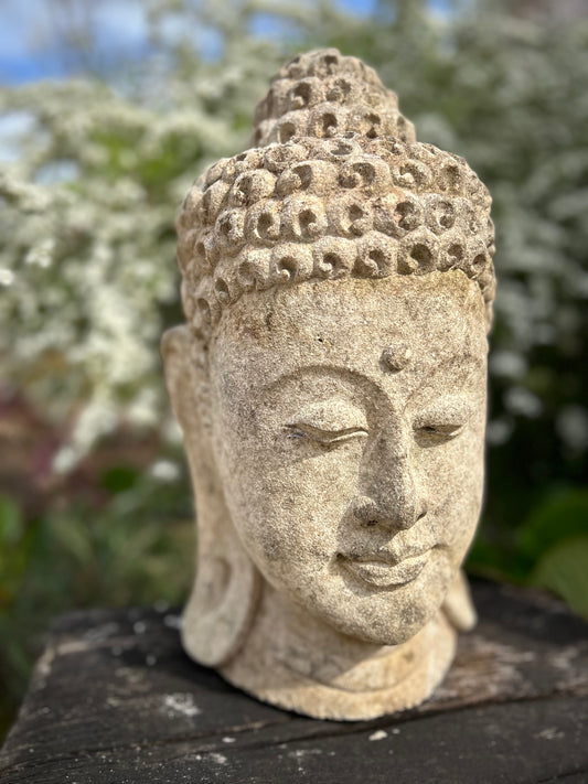 Testa di Buddha in pietra meditativo Altezza 37cm
