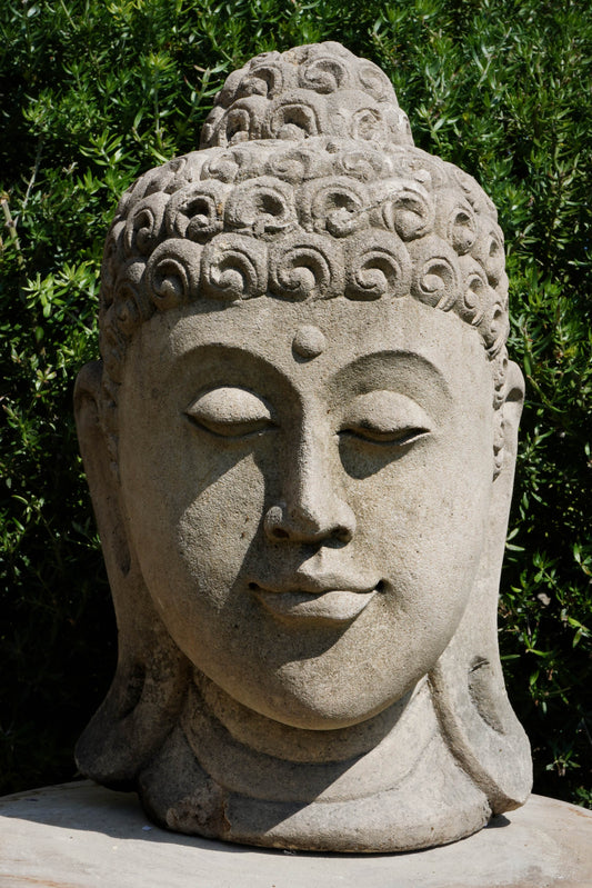 Statua Testa del Buddha in Pietra arenaria H 30cm C015