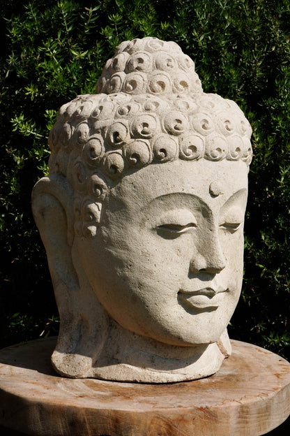 Statua Testa del Buddha in Pietra arenaria H 30cm C024