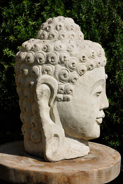 Statua Testa del Buddha in Pietra arenaria H 30cm C024