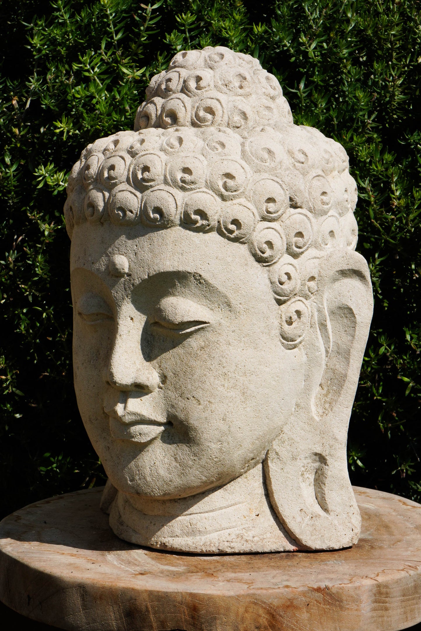 Statua Testa del Buddha in Pietra arenaria H 30cm C024