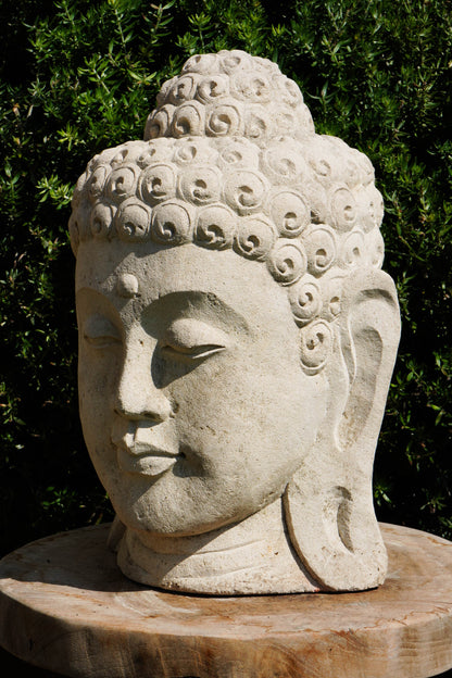 Statua Testa del Buddha in Pietra arenaria H 30cm C024