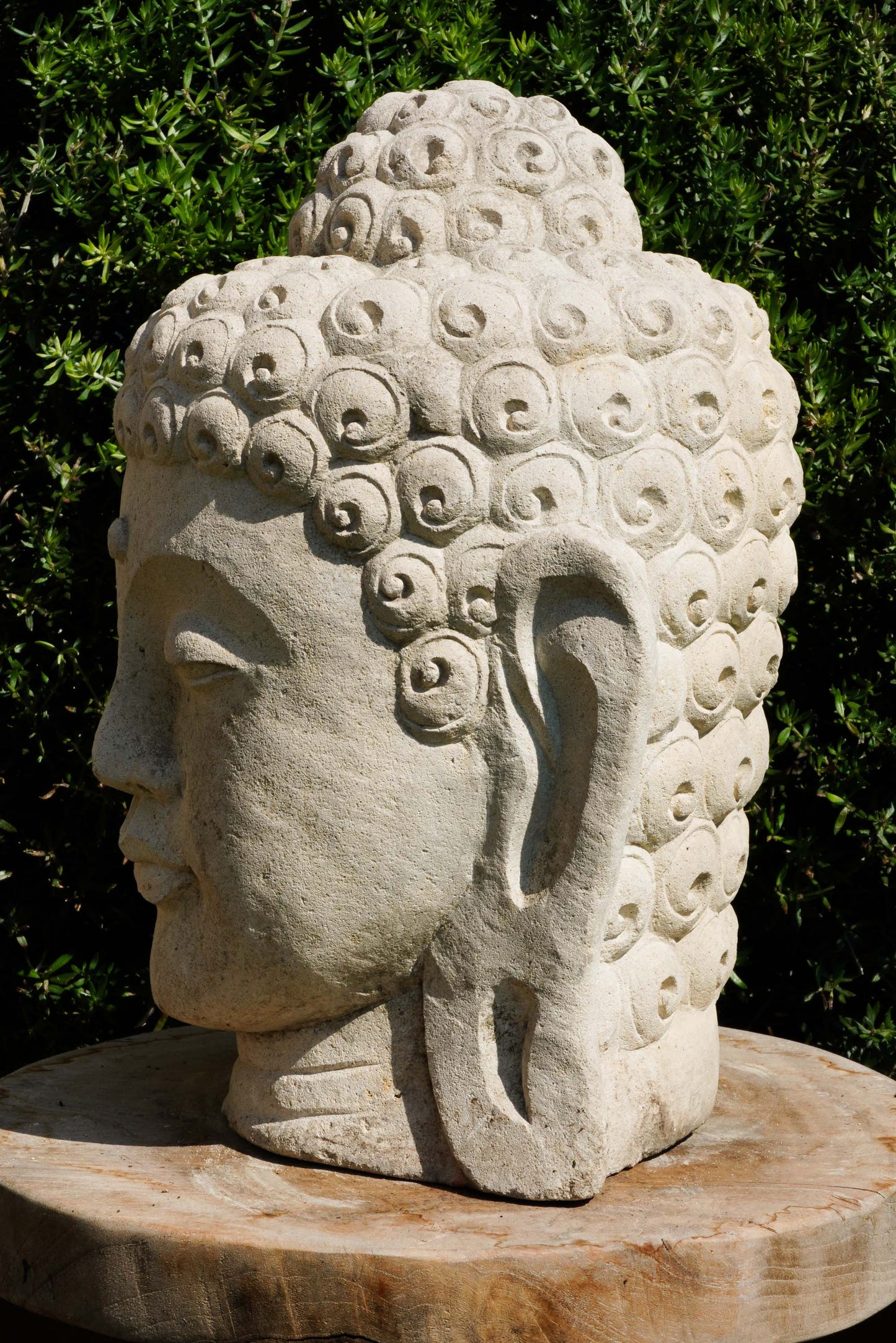 Statua Testa del Buddha in Pietra arenaria H 30cm C024