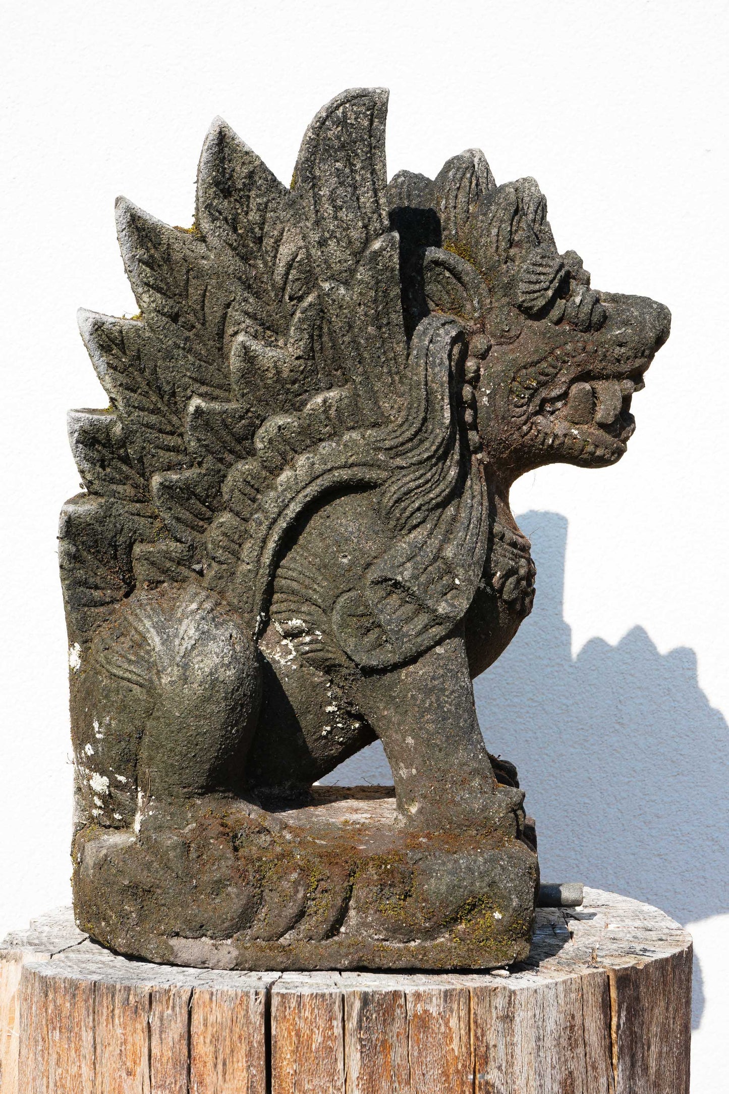Singa – Scultura Protettiva Balinese in Pietra | Leone Mitologico con Ali H 47 rif. C069