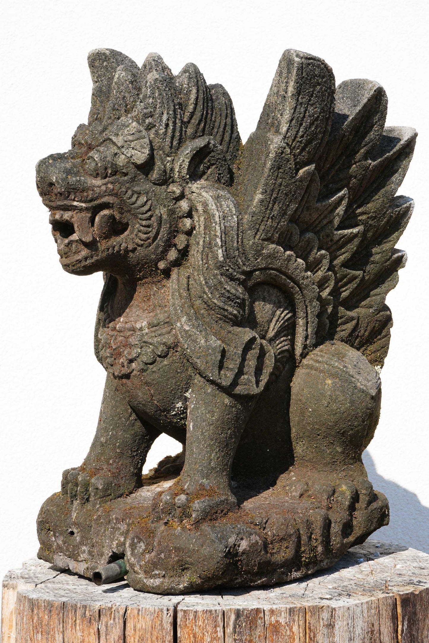 Singa – Scultura Protettiva Balinese in Pietra | Leone Mitologico con Ali H 47 rif. C069