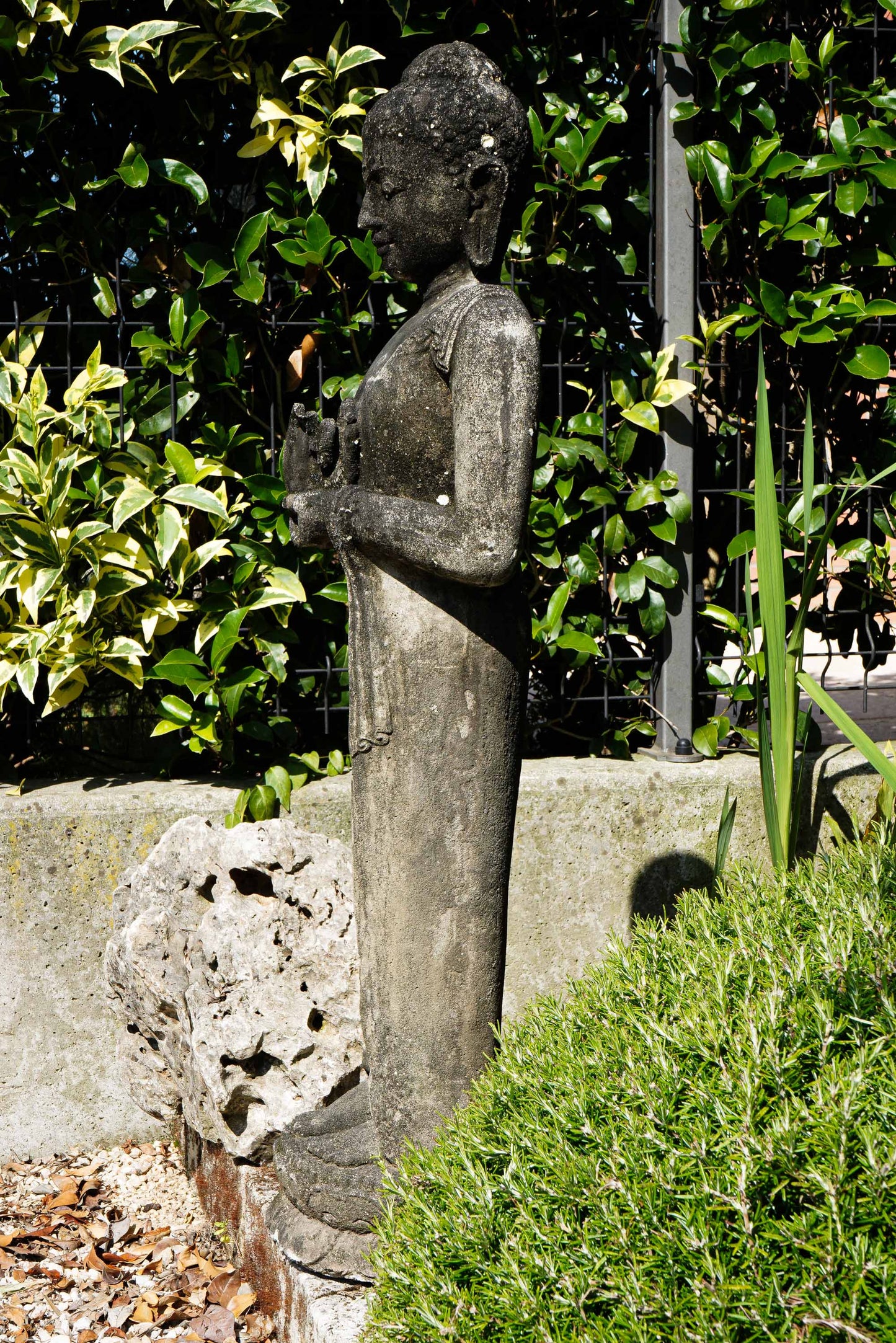 Statua Buddha Antico in Pietra nera h 105 cm – Scultura Balinese Originale Rif. D027