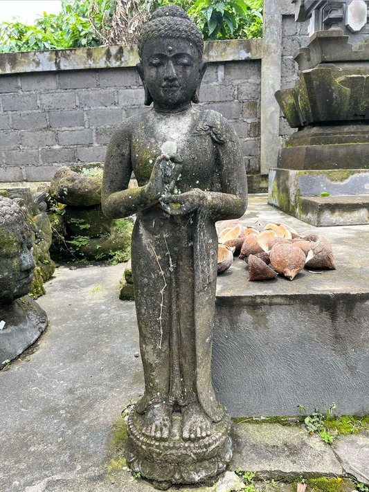 Statua Buddha Antico in Pietra nera h 105 cm – Scultura Balinese Originale Rif. D027