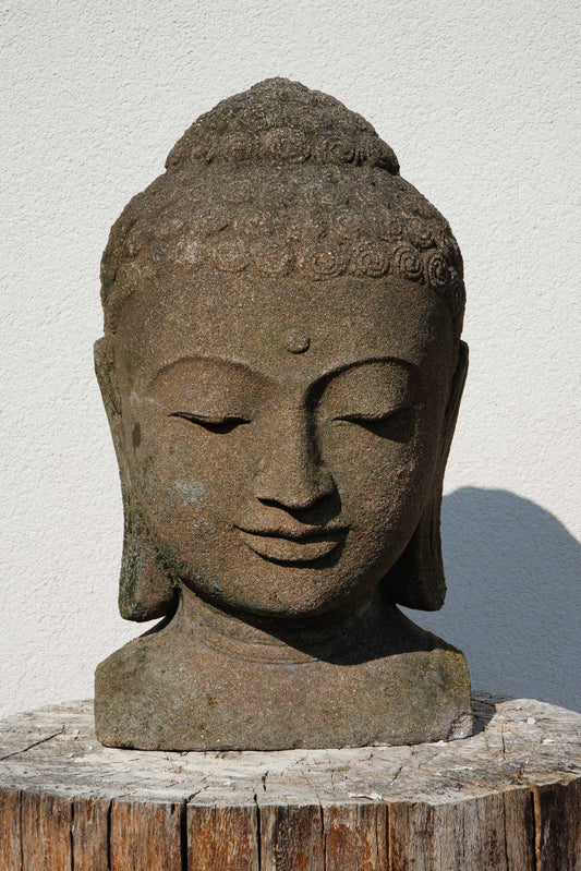 Statua Testa del Buddha in Pietra Lavica H40cm D031