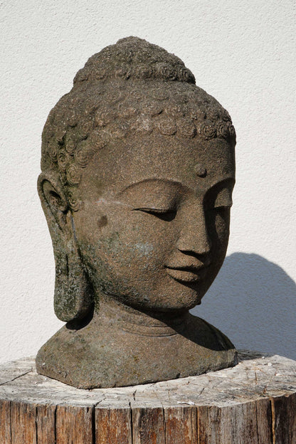 BUDDHA in lava stone H45cm B32