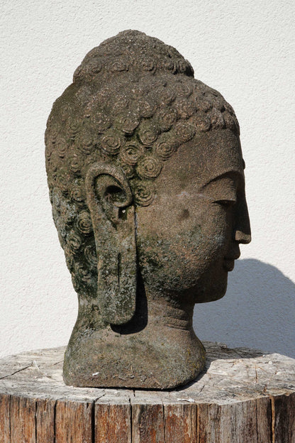 BUDDHA in lava stone H45cm B32