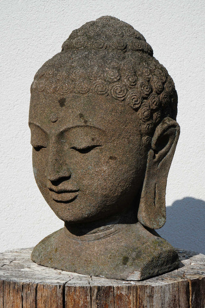 BUDDHA in lava stone H45cm B32