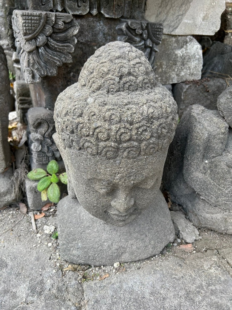 BUDDHA IN MEDITAZIONE