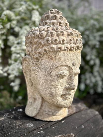 Testa di Buddha in pietra meditativo Altezza 37cm