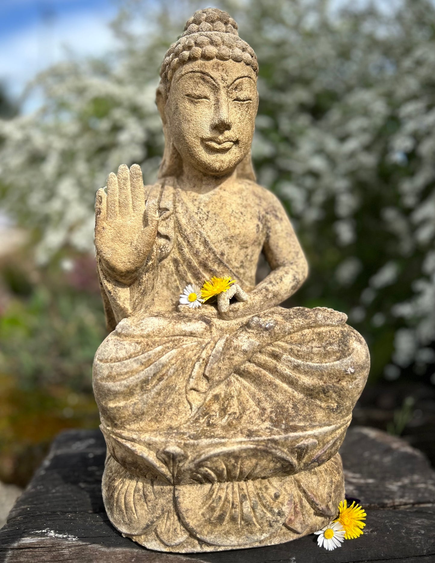 BADDHA MEDITASI altezza 41cm