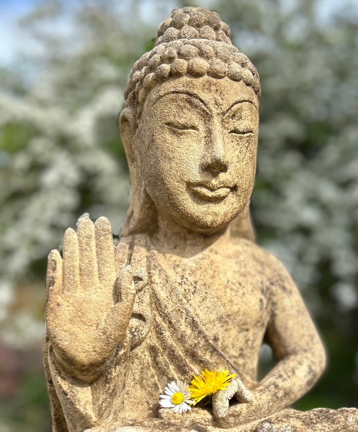 BADDHA MEDITASI altezza 41cm