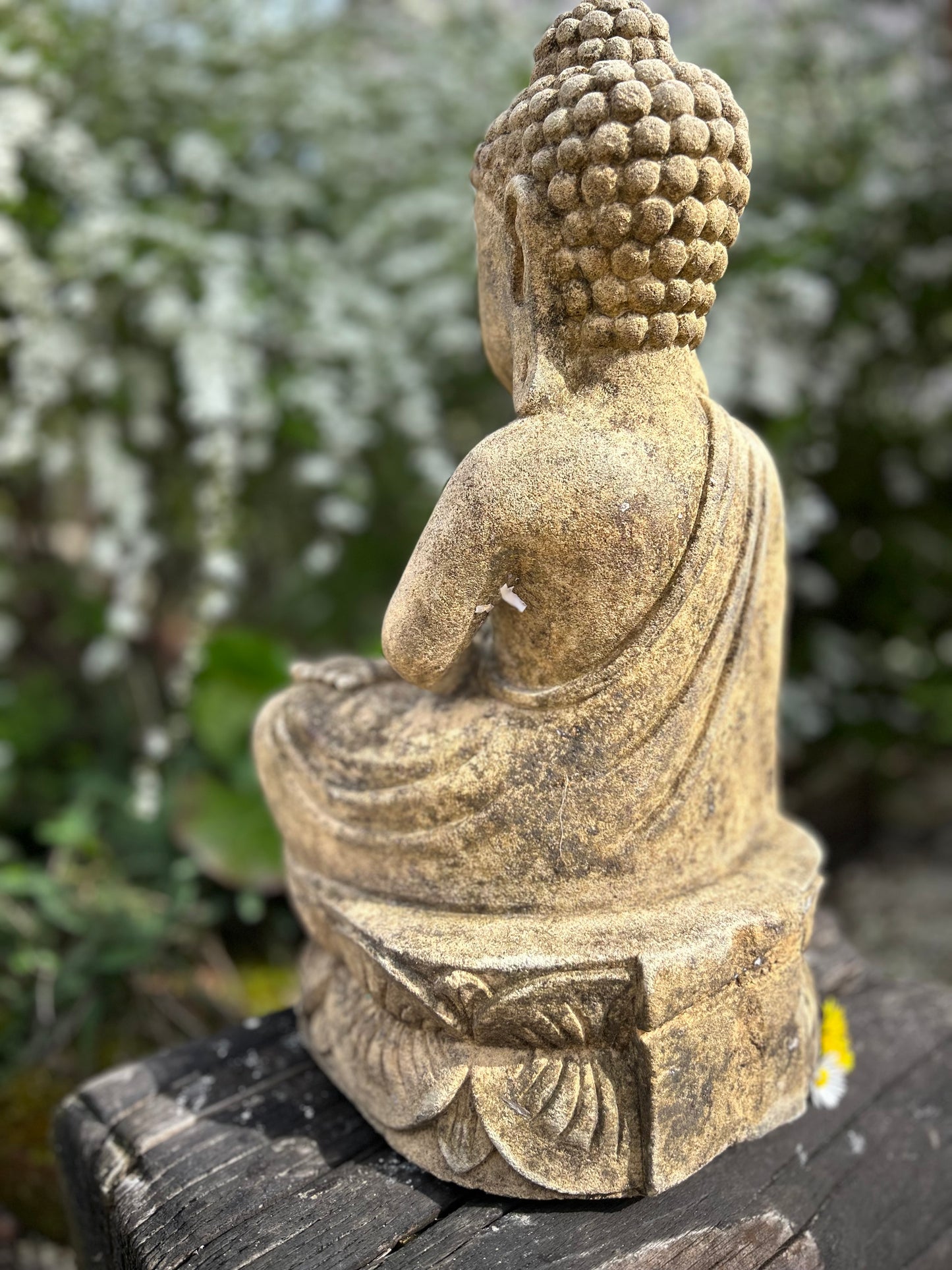 BADDHA MEDITASI altezza 41cm