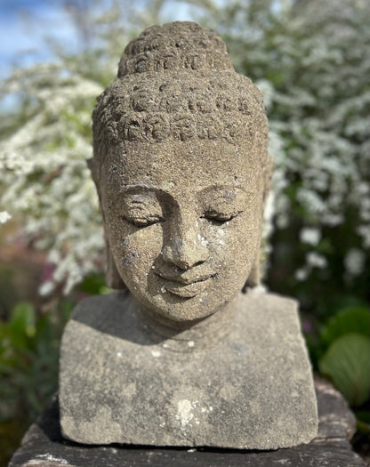 BUDDHA MEDITASI