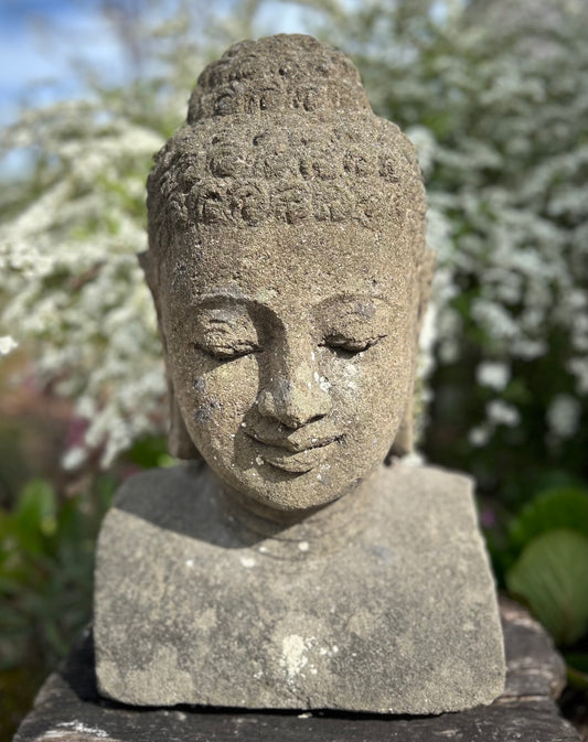 BUDDHA MEDITASI
