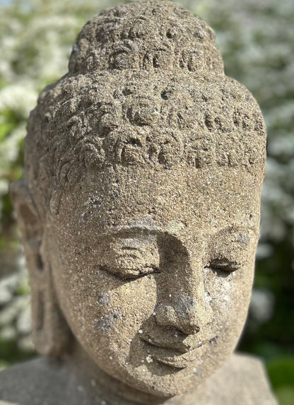 BUDDHA MEDITASI