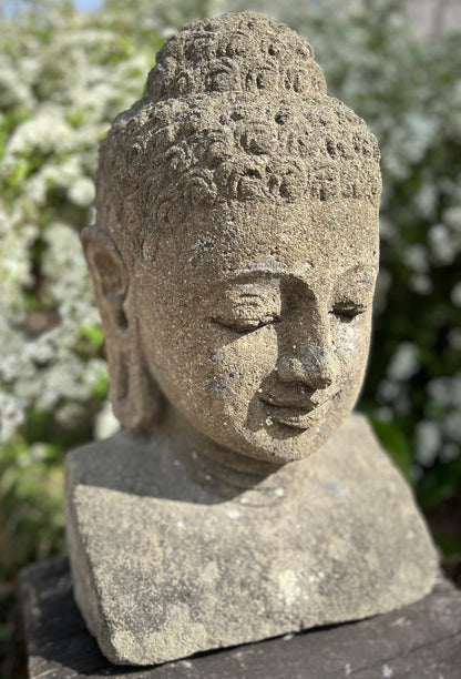 BUDDHA MEDITASI