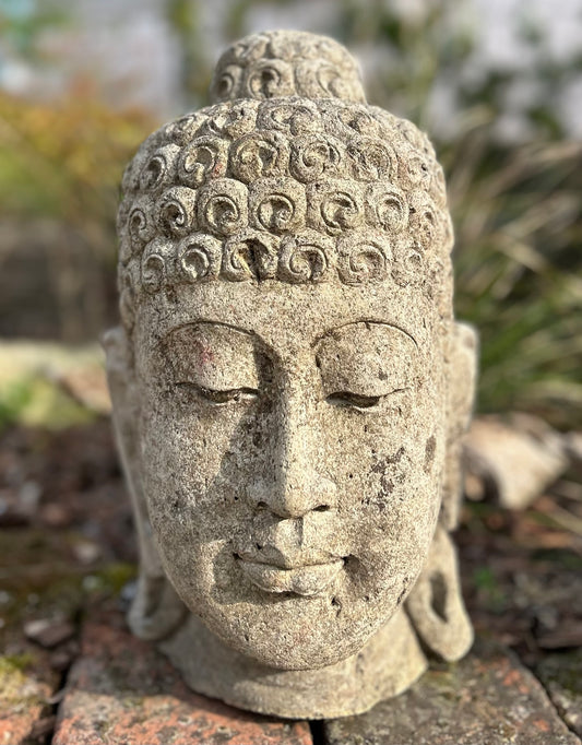 BUDDHA MEDITATI