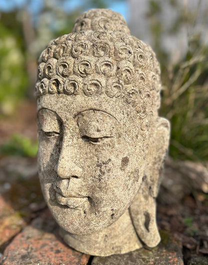 BUDDHA MEDITATI