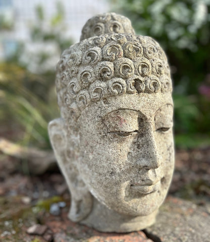 BUDDHA MEDITATI