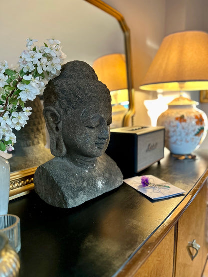 BUDDHA MEDITASI