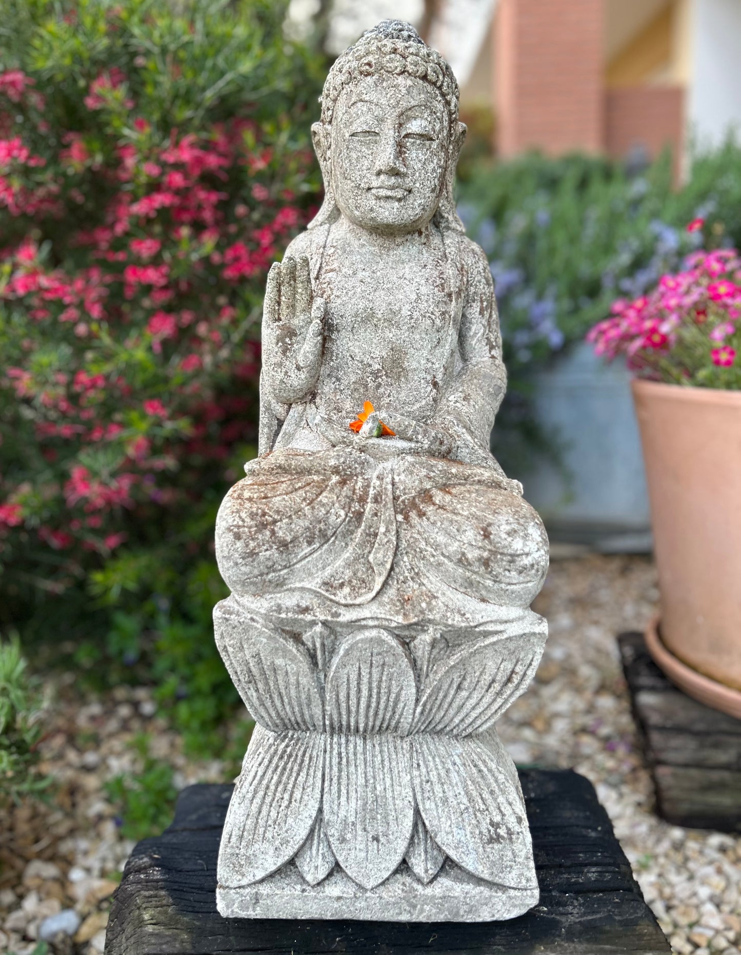 BUDDHA MERESTUI altezza 65cm