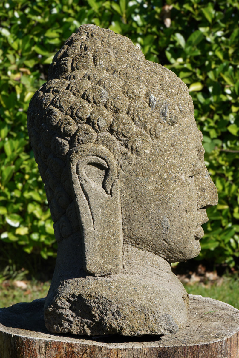 testa buddha in pietra lavica