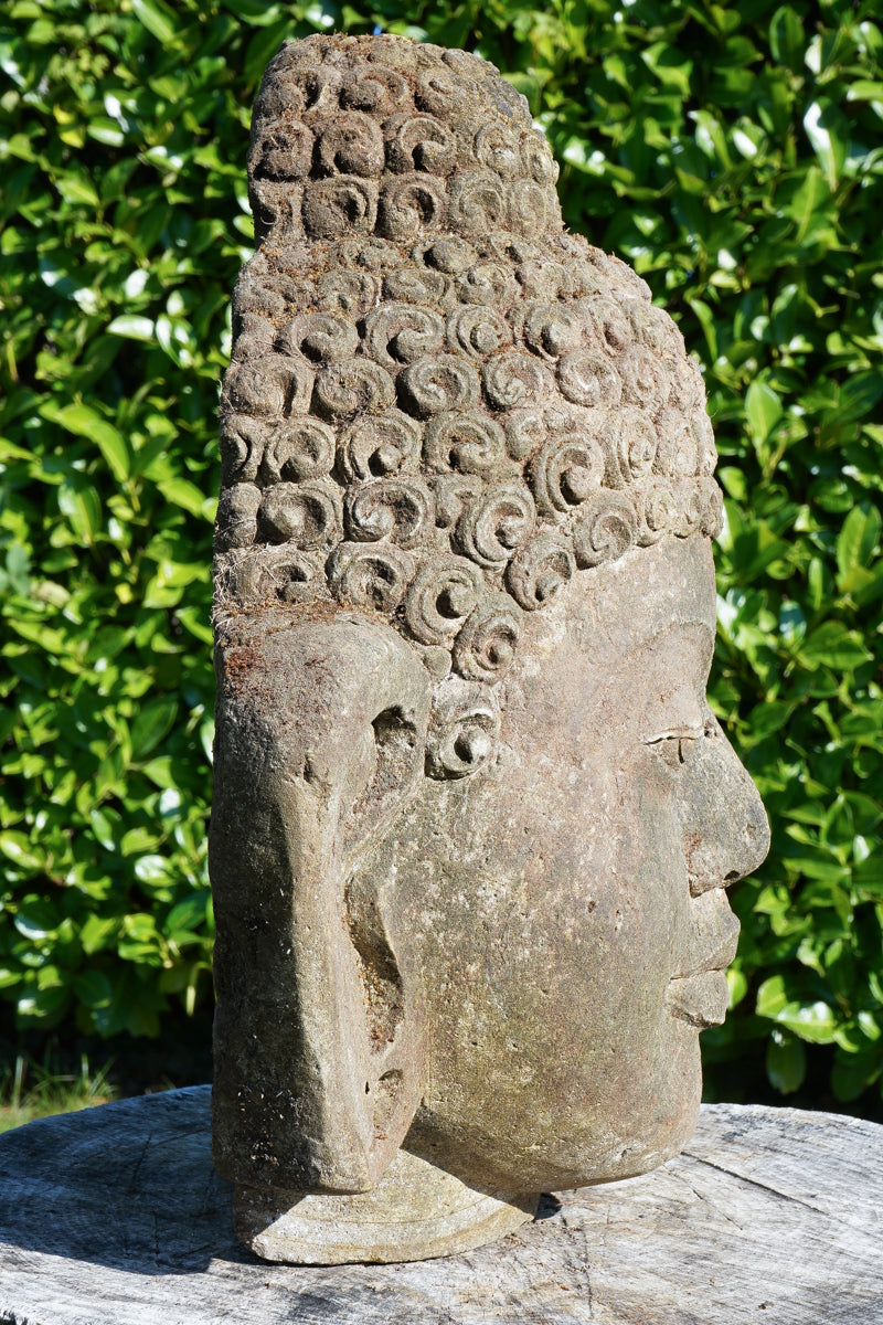 Testa di Buddha Antica in Pietra di Giava da parete H40cm B09