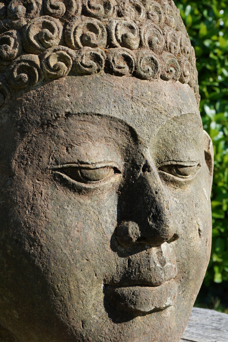 testa buddha antica