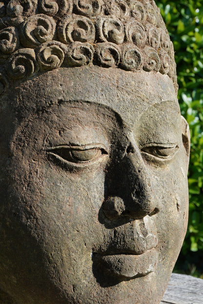 testa buddha antica