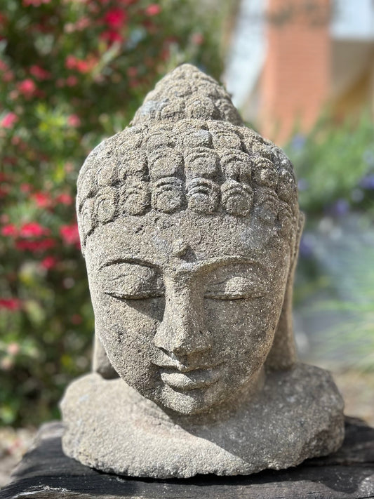 buddha pietra naturale
