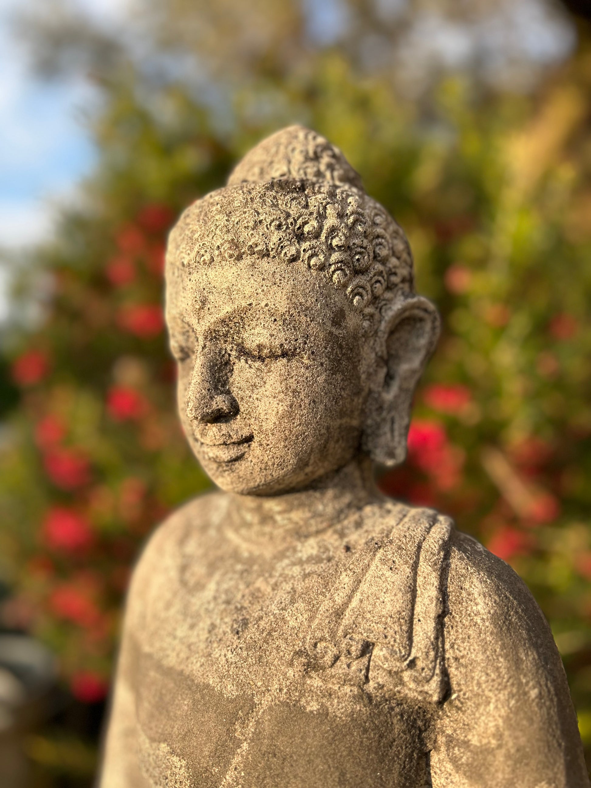 statua del buddha volto