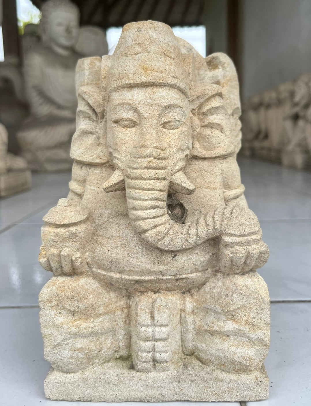 STATUA INDUISTA